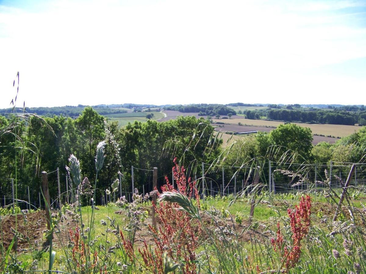 Gite, Jacuzzi & Vin Au Grenier De Madiran Zewnętrze zdjęcie