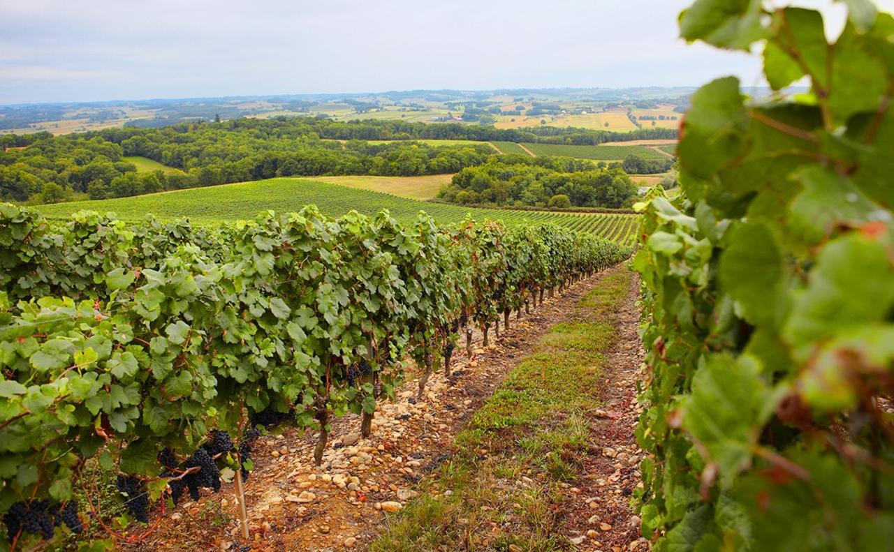 Gite, Jacuzzi & Vin Au Grenier De Madiran Zewnętrze zdjęcie